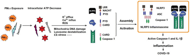 graphic file with name 11356_2021_16405_Figa_HTML.jpg