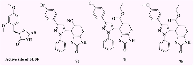 Figure 24