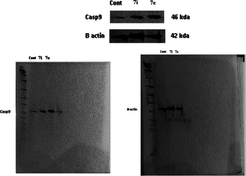 Figure 23