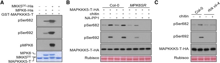 Figure 6.