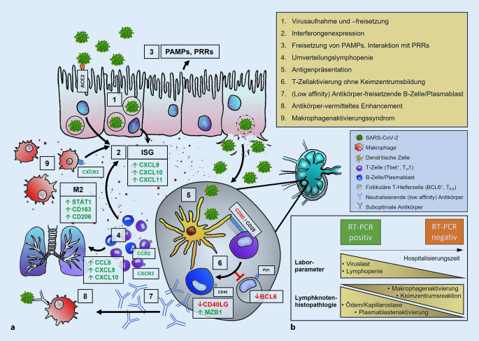 graphic file with name 292_2021_914_Fig1_HTML.jpg