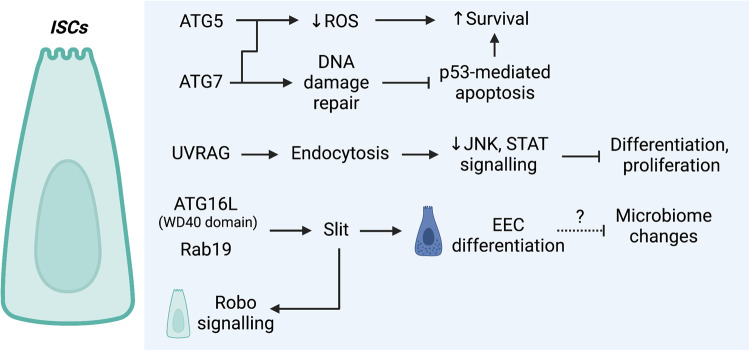 Figure 6.