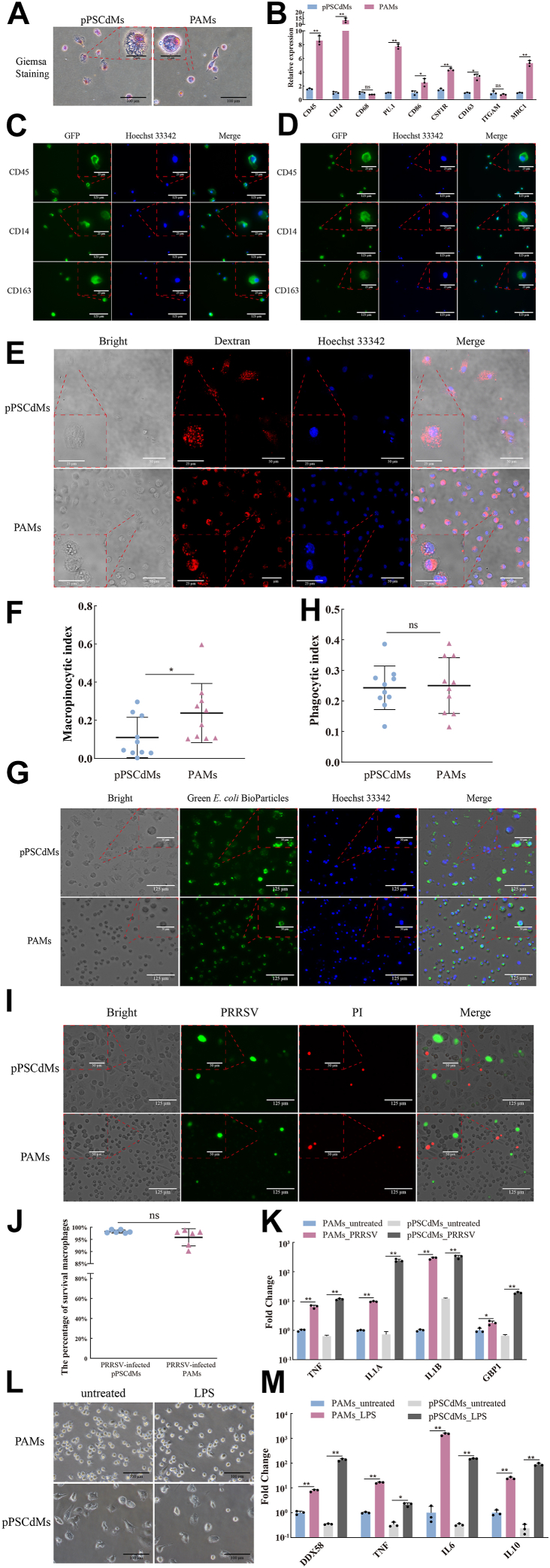 Figure 2