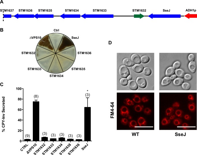 Fig 1