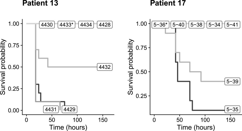 FIG 3