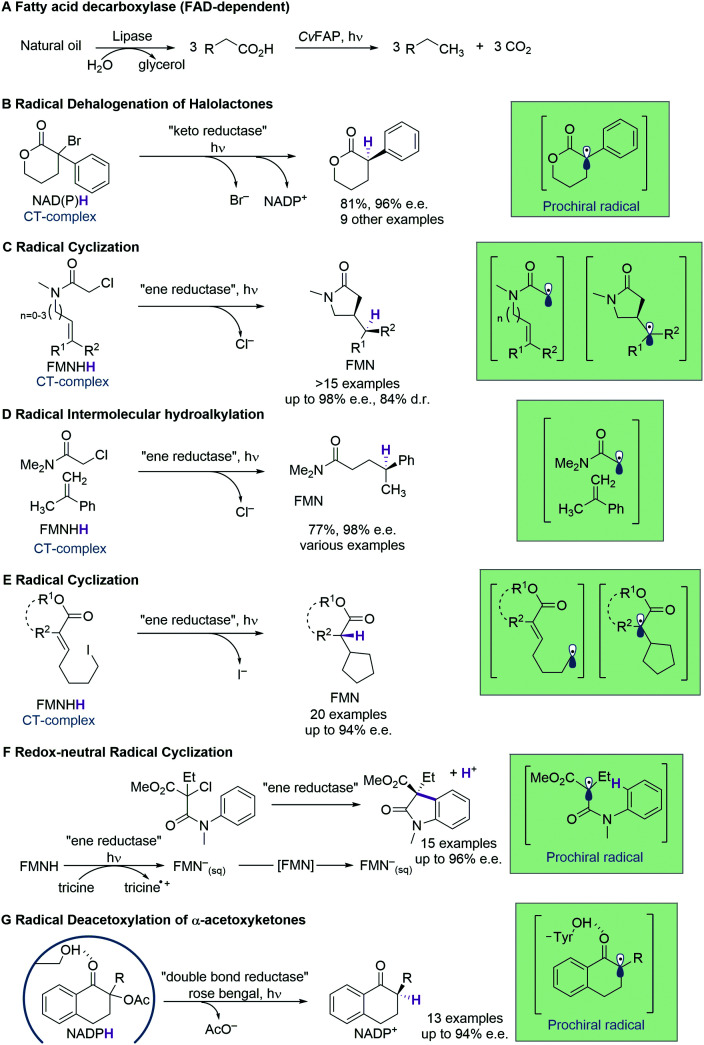 Scheme 16