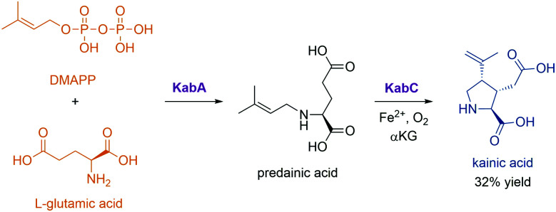 Scheme 12