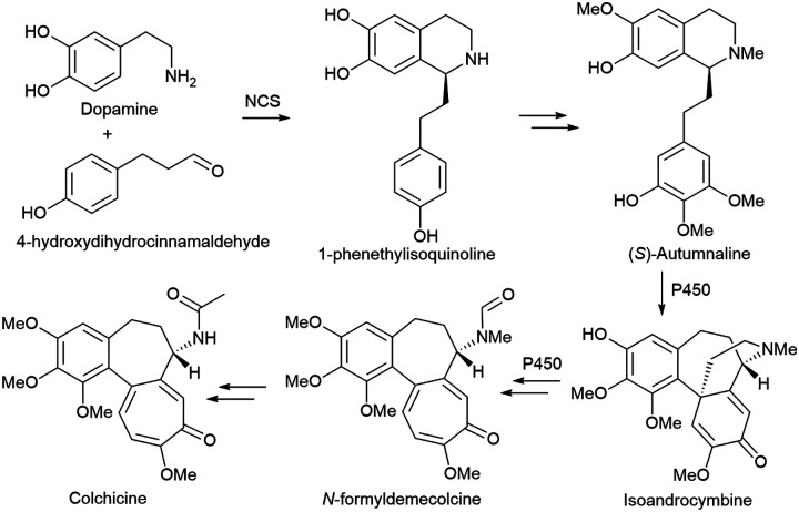 Scheme 3