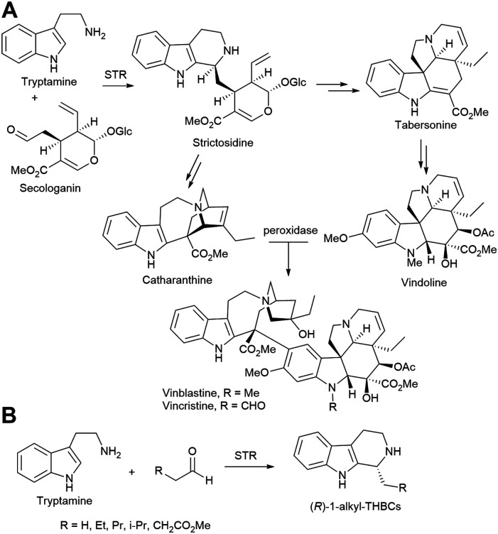 Scheme 4