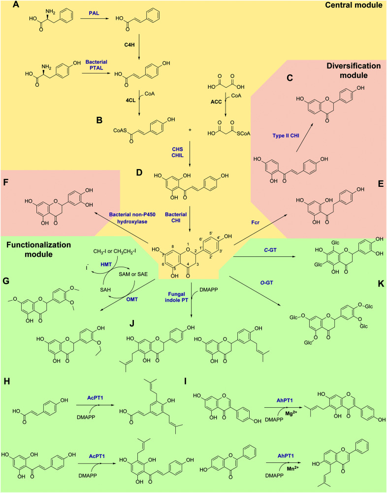 Scheme 1