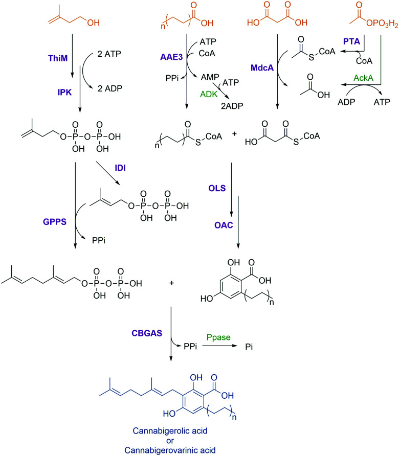 Scheme 10