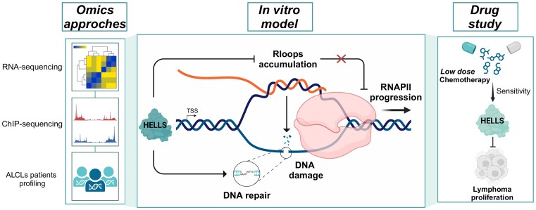 Graphical Abstract