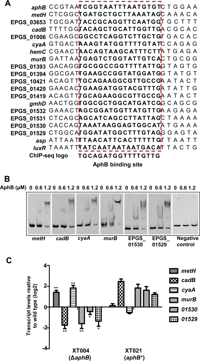 FIG 3