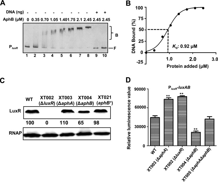 FIG 6