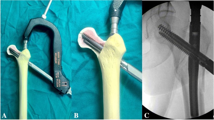 Fig. 7