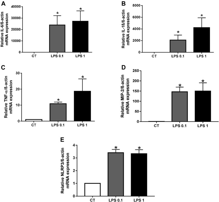 FIGURE 1