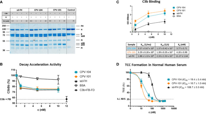 Figure 3