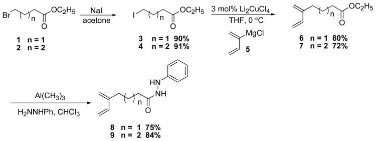 Scheme 2