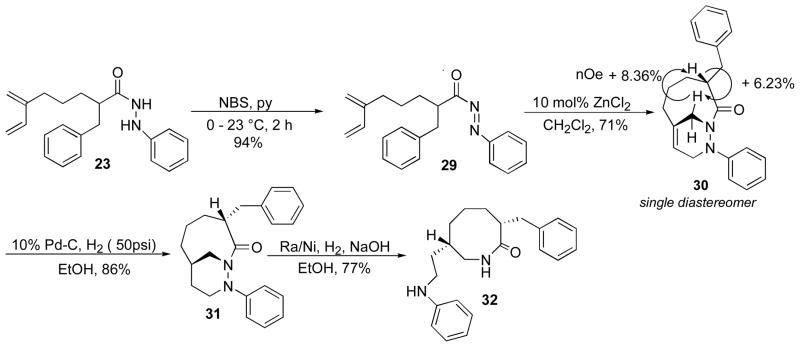 Scheme 13