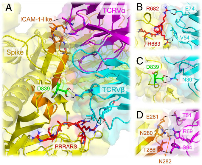 Fig. 4.