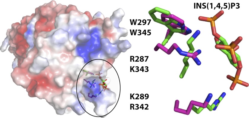 FIGURE 3.