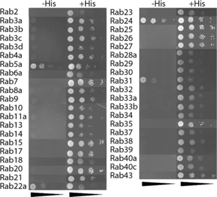 FIGURE 5.