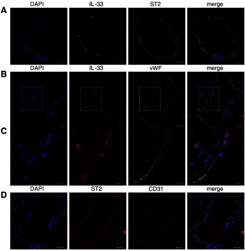 Fig. 7