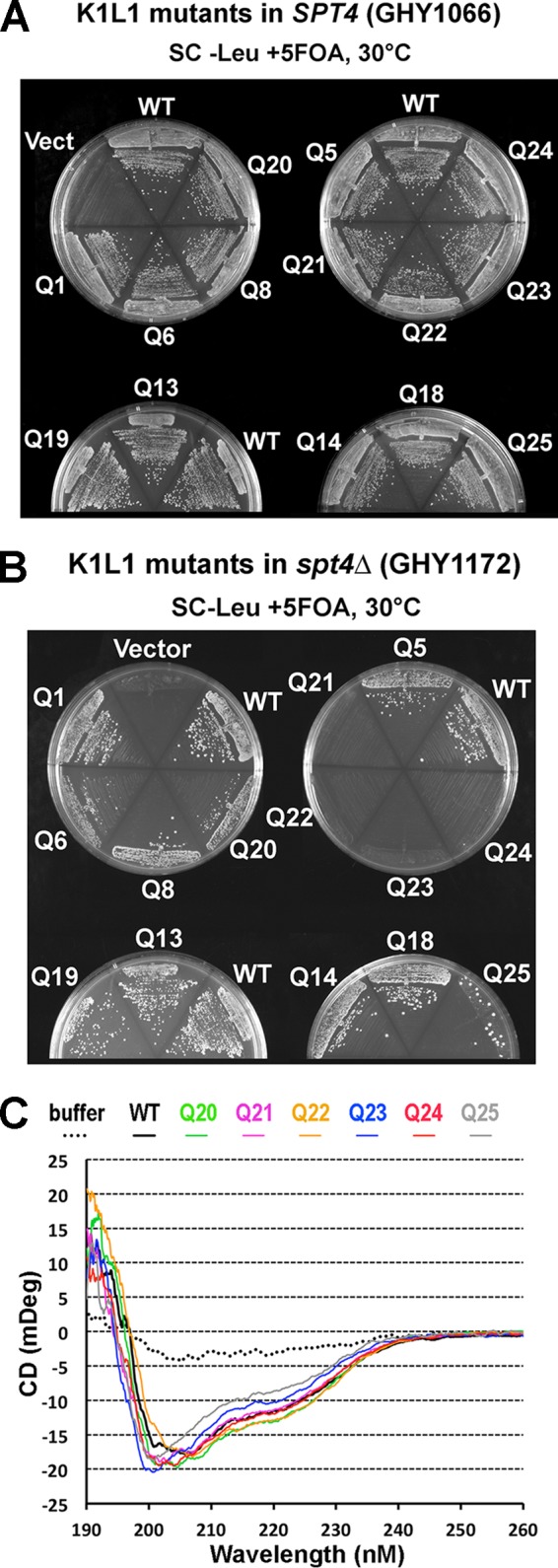 FIG 8