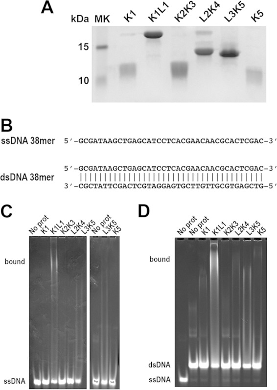 FIG 5