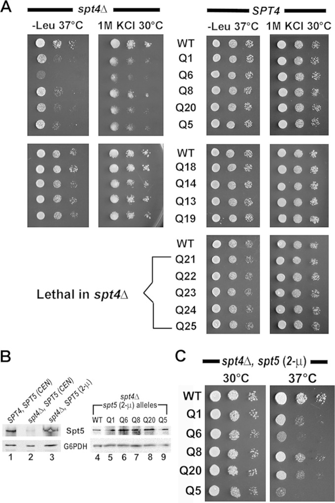 FIG 9