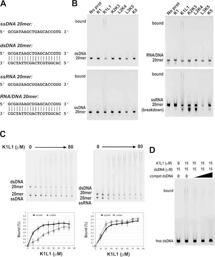 FIG 6