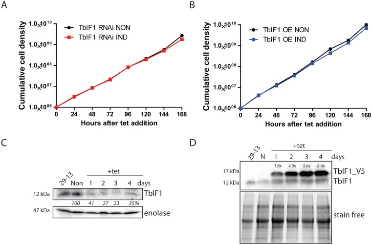 Fig 3