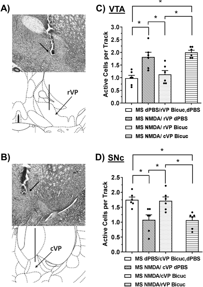 Fig. 3