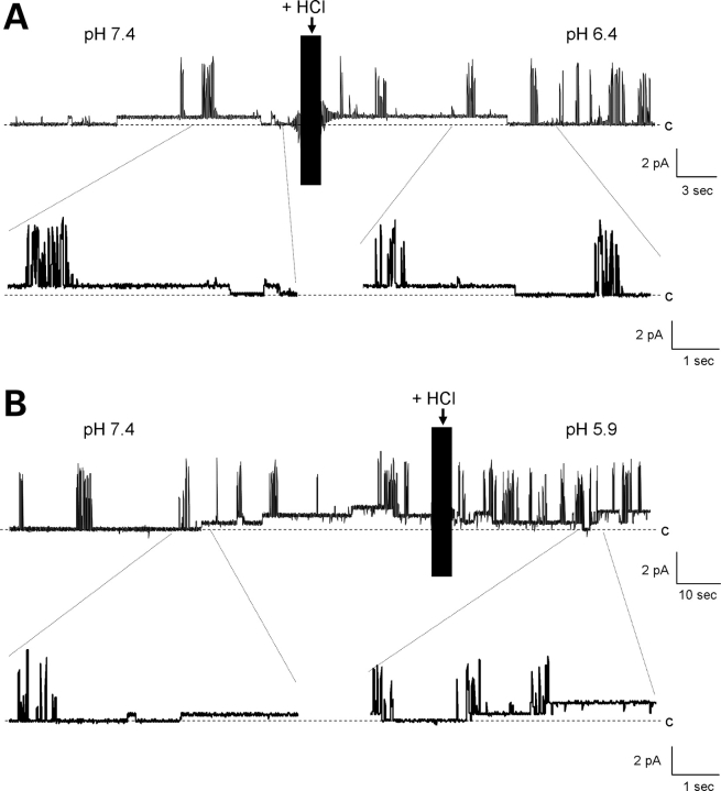 Figure 5.