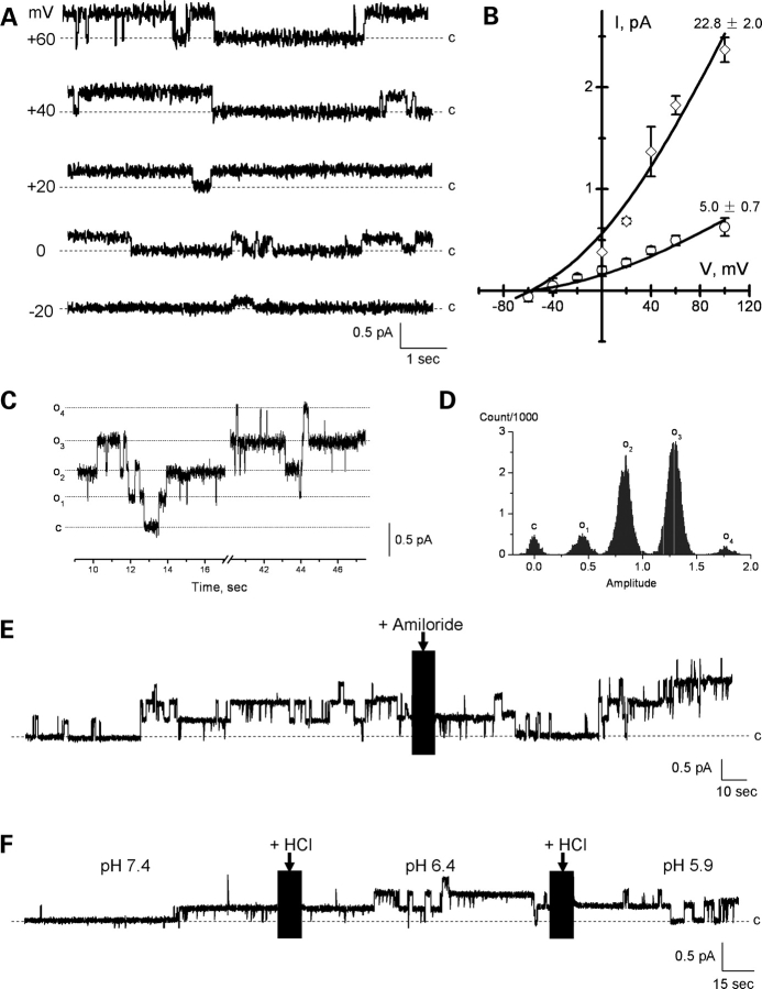 Figure 2.