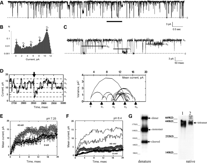 Figure 1.