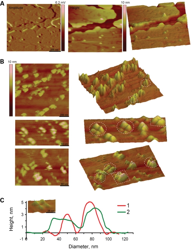 Figure 11.