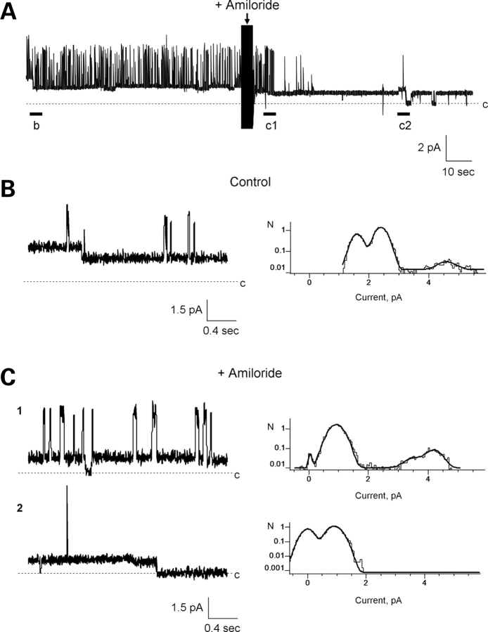 Figure 4.