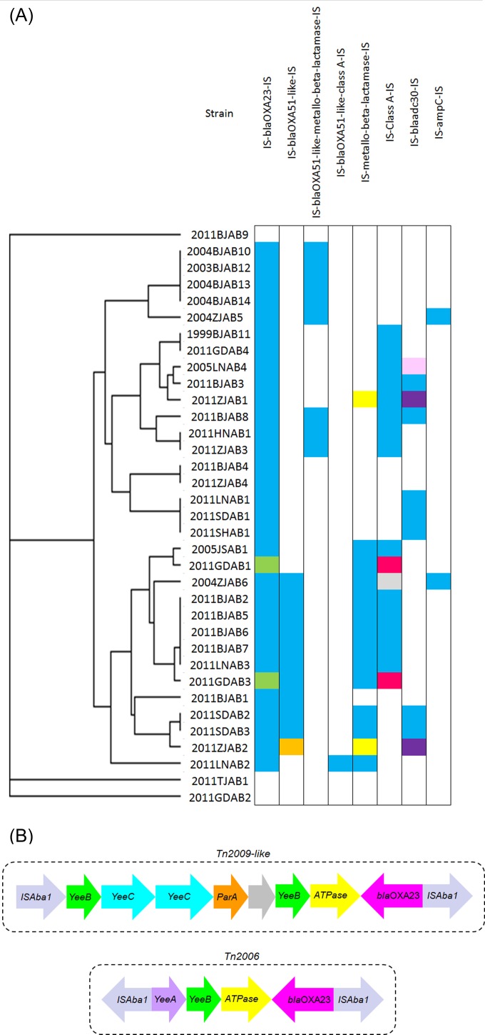 FIG 3