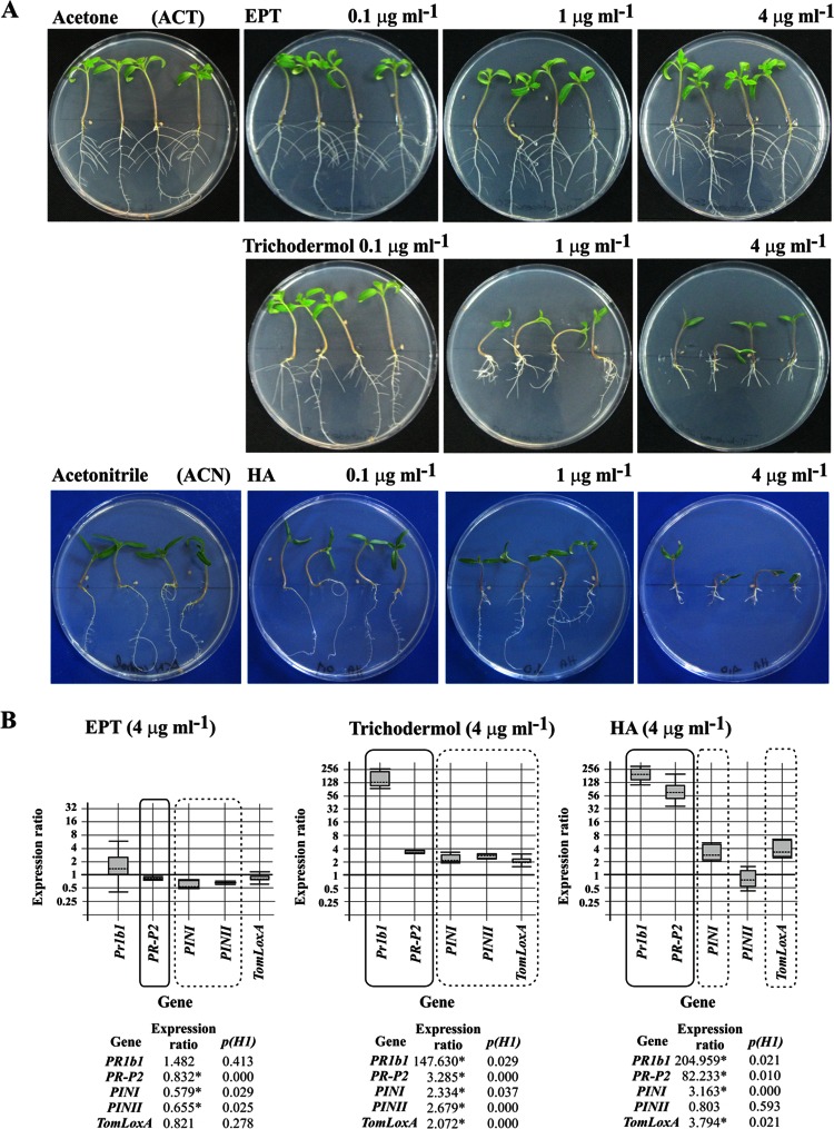 FIG 4