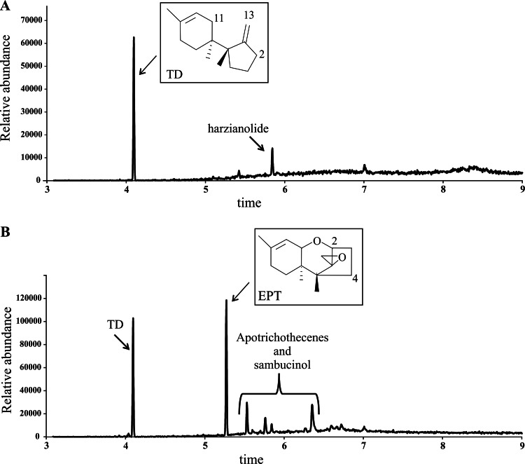 FIG 2