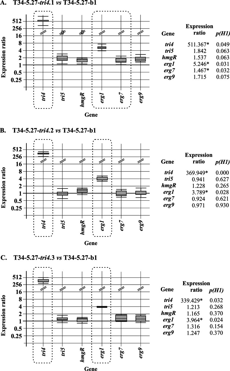 FIG 3