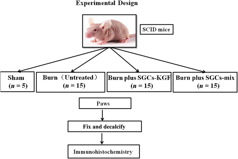 Figure 6.