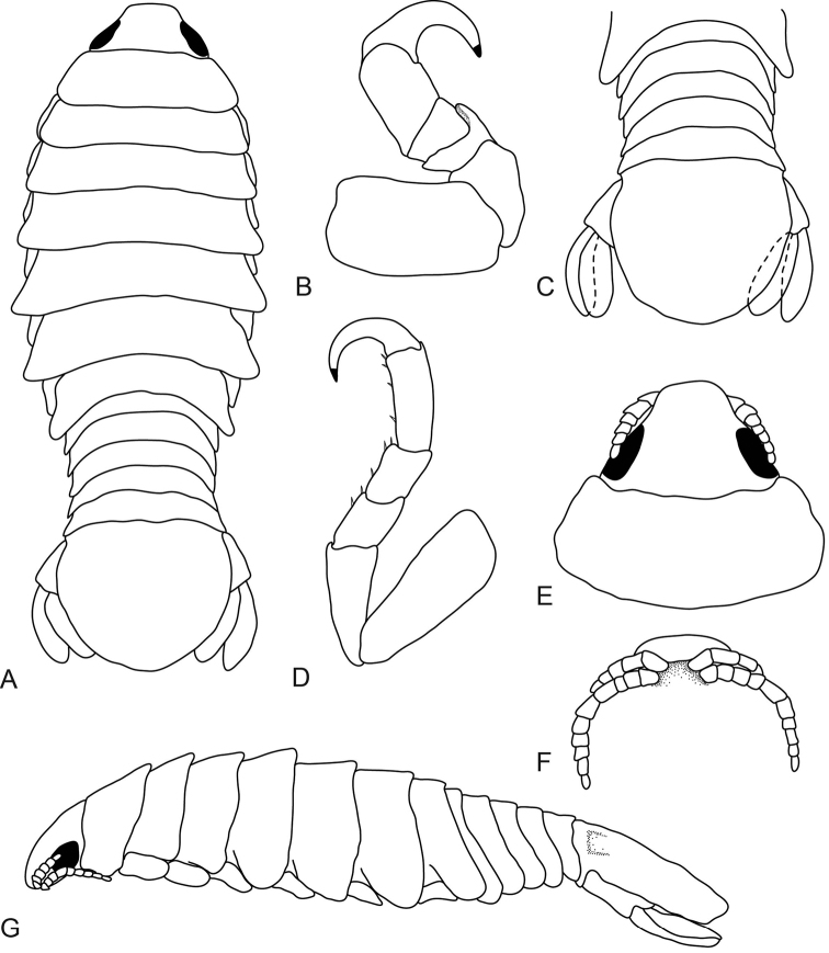 Figure 7.