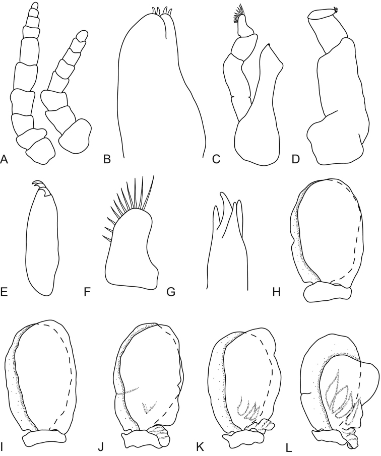 Figure 4.