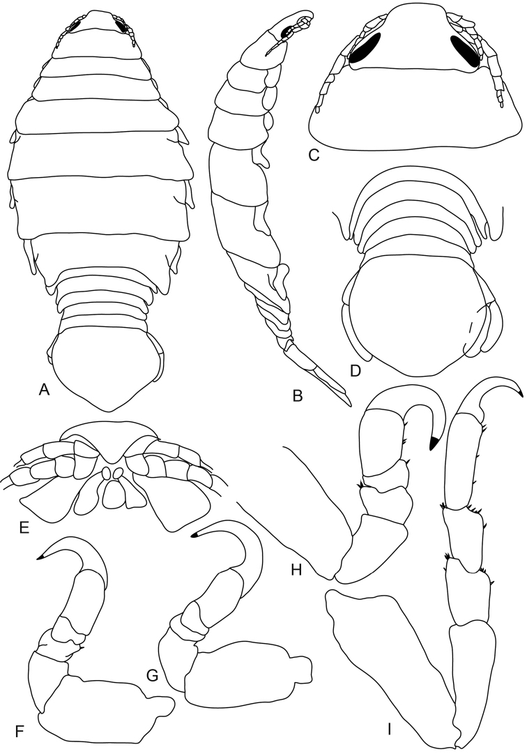 Figure 5.