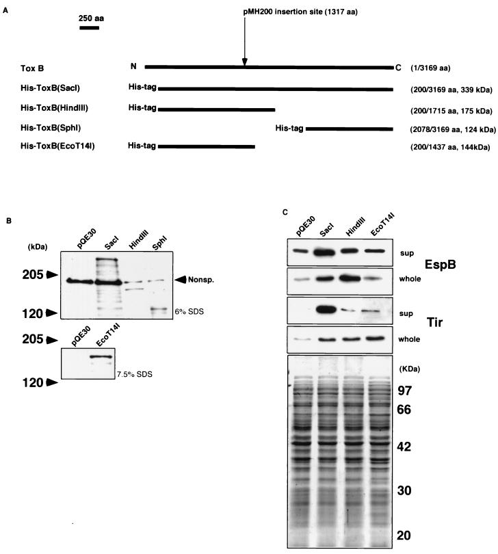 FIG. 7