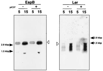 FIG. 6