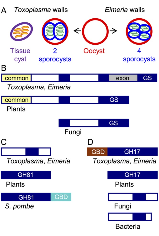 FIG 1 