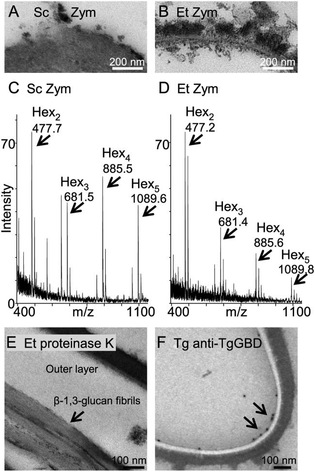 FIG 4 